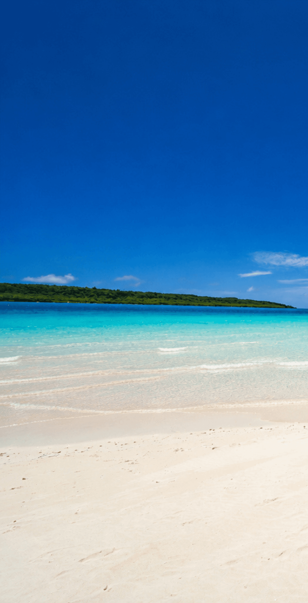 白砂の浜と遠浅の海が広がるビーチ